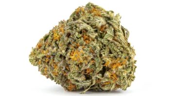 healing-empire-online-dispensary-feature