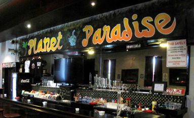 Plant Paradise Cannabis Cafe Toronto