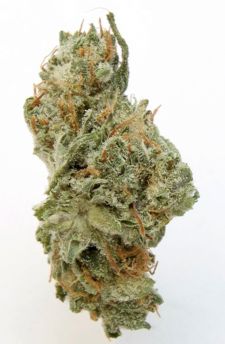 The best weed for hangovers - Chernobyl strain