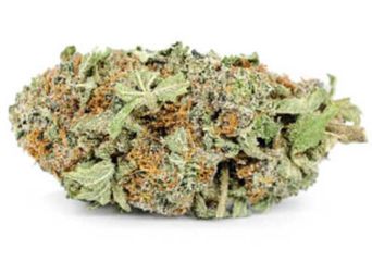 Trainwreck strain, best weed for hangovers