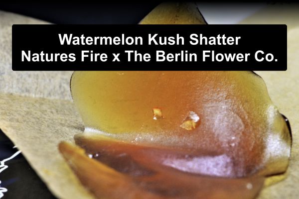 Best Shatter Brands Canada
